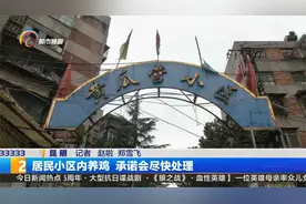 居民小区内养鸡 承诺会尽快处理视频封面