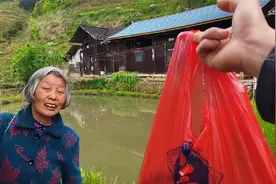 荷花池中套养10斤田螺，养殖一年收获120斤，今天又来补种10斤视频封面