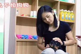 怎么克服对狗狗的恐惧？佳佳教你几个小技巧，说不定以后用得上