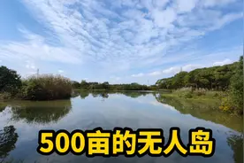 苏州一座500亩的无人岛，传说吴王夫差隐蔽战船之地，猜猜是哪里视频封面