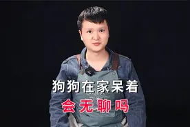 狗狗在家呆着会无聊吗