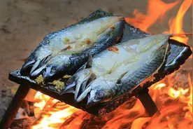 野外没锅怎么美食？小哥教你石板烤鱼，色香味俱！视频封面