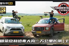 1个月耐久测试再战越野拉力赛，丰田荣放和哈弗大狗谁更抗造？视频封面
