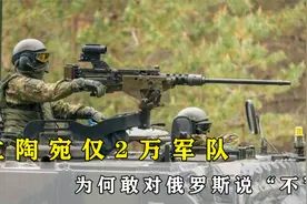 只有不到2万军队的立陶宛 ,为何敢向核大国俄罗斯叫板？视频封面