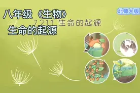 八年级《生物》：生命的起源。小初全动画课程，让学习轻松又有趣