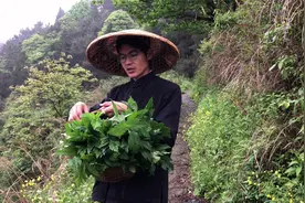 这种野菜有一股奇特的味道，简单一炒风味爽口,吃了还有很多好处视频封面