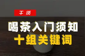 喝茶入门须知的十组名词解释视频封面