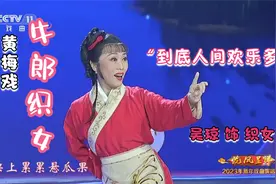 黄梅戏《牛郎织女》选段 "到底人间欢乐多" ---吴 琼 演唱视频封面