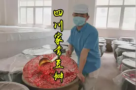 什么叫四川家常豆瓣酱？和郫县豆瓣酱有什么区别？听火哥给你讲