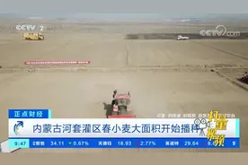 内蒙古河套灌区春小麦大面积开始播种|正点财经视频封面