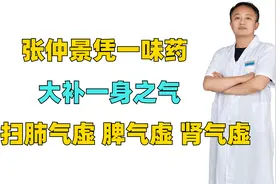 张仲景凭一味药，大补一身之气，横扫肺气虚、脾气虚、肾气虚视频封面