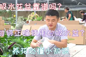 自吸水花盆靠谱吗？如何正确使用自吸水花盆？养花必懂小知识。视频封面