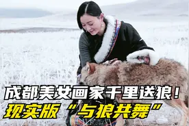 真实故事！成都女孩把狼带回家当儿子，8个月后再带它重返狼群！视频封面