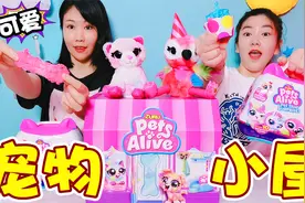 奇奇“领养”宠物！在盲盒里开出一只小猫咪，握握爪子还能唱歌视频封面
