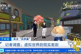 记者调查：虚拟世界的现实差距（2）|天下财经视频封面