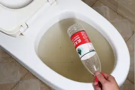 马桶万一堵住了，用一个塑料瓶3分钟就疏通，您一分钱都不用花视频封面