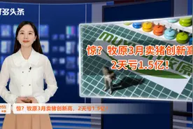 “亏钱”抢市场？牧原3月卖猪创新高，2天亏1.5亿！视频封面