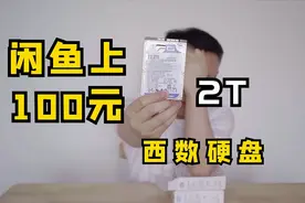 闲鱼上2T西数移动硬盘只卖100元？靠谱吗？up主以身试毒 一探究竟视频封面