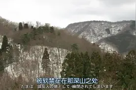 反贼明智光秀的女儿因父亲被软禁深山里两年，是什么力量支撑着她视频封面