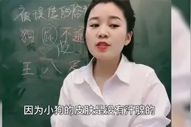 老师讲成语：狗屁不通、王八蛋，原来我们误解了这么多年