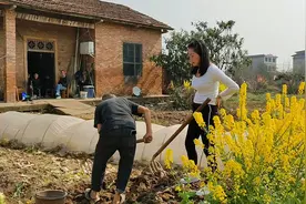 挖蚯蚓作诱饵，晚上装笼子里套鳝鱼，市场好价有干劲