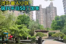 上海有个富人小区，里面一半居民都是外国人，你知道房价多少吗视频封面