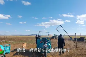 女汉子不上班天天在家干什么？用视频回复质疑，累活脏活都会干！