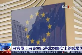 乌克兰官员：乌克兰已是北约事实上的成员国视频封面
