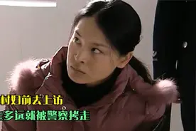 村妇被人欺压，前去告状竟被警察抓走，这下麻烦大了（影视解说）视频封面