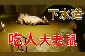 【后室】下水道惊现吃人大老鼠！已经有多人受害！视频封面