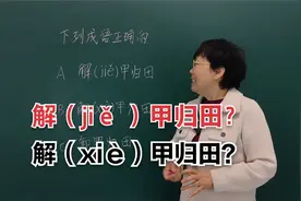 下列成语正确的是哪一个？解jiě 甲归田还是解xiè甲归田呢？视频封面