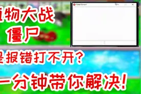 植物大战僵尸报错打不开？残夜一分钟带你解决！