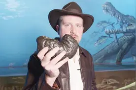 目前保存时间最久最大的屎，可能是巨鳄排放，比黄金还珍贵视频封面