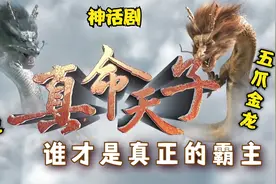 四爪青龙缠斗五爪金龙，果然青龙只能称霸一方，金龙才是真命天子视频封面