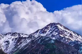 白牦牛电商之路视频封面