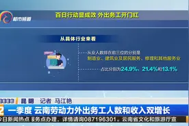 一季度 云南劳动力外出务工人数和收入双增长视频封面