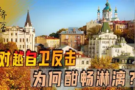 对越自卫反击为何酣畅淋漓？牛刀宰鸡速战速决，足够给俄上一课视频封面