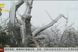 南宁：雾凇现身大明山宛若仙境视频封面