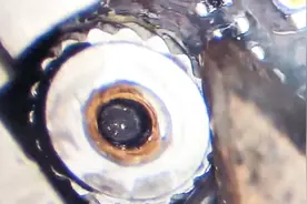 自拆苹果手机换屏后开机重启，显微镜下找端倪，难道又是螺丝孔？视频封面