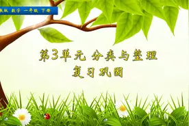 一年级下册数学《分类整理复习巩固》，学分类整理，生活更有条理视频封面
