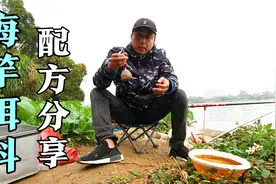 分享一款爆炸钩饵料配方，经济实惠，5元钱的饵料能玩一天视频封面