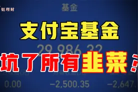 支付宝基金，坑了所有韭菜？视频封面