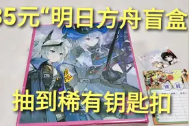 35元“明日方舟盲盒抽奖”，中奖稀有钥匙扣和海报，这次亏了吗
