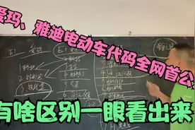 爱玛和雅迪电动车出现故障代码看不懂，老师傅教你快速判断的技巧视频封面