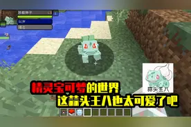 我的世界mod：让你变成宝可梦训练师，妙蛙种子也太可爱了吧