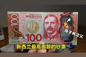 新西兰的百元大钞，约合人民币460元，正面人物是原子核之父