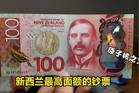 新西兰的百元大钞，约合人民币460元，正面人物是原子核之父视频封面