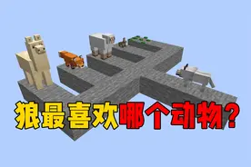 我的世界：几组实验来证明狼最喜欢攻击什么生物！