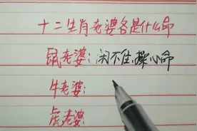 十二生肖老婆各是什么命，可怜的小兔子保姆命视频封面