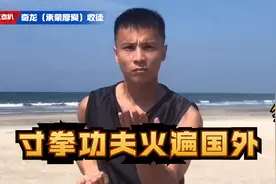 中国小伙寸拳功夫火遍国外，出拳速度仅0.2秒，让外国人目瞪口呆视频封面